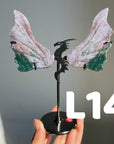 Dragon Wings