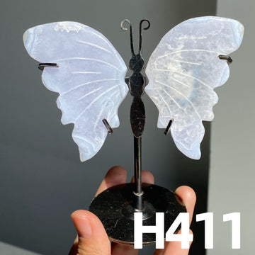 Small Butterfly Wings