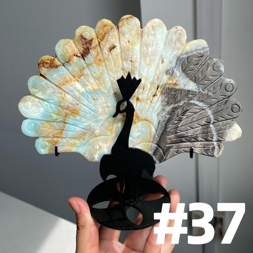 Clearance Peacock Wings