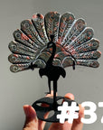 Clearance Peacock Wings