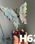 Small Butterfly Wings