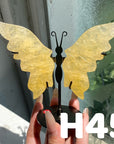Small Butterfly Wings