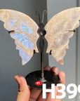 Small Butterfly Wings