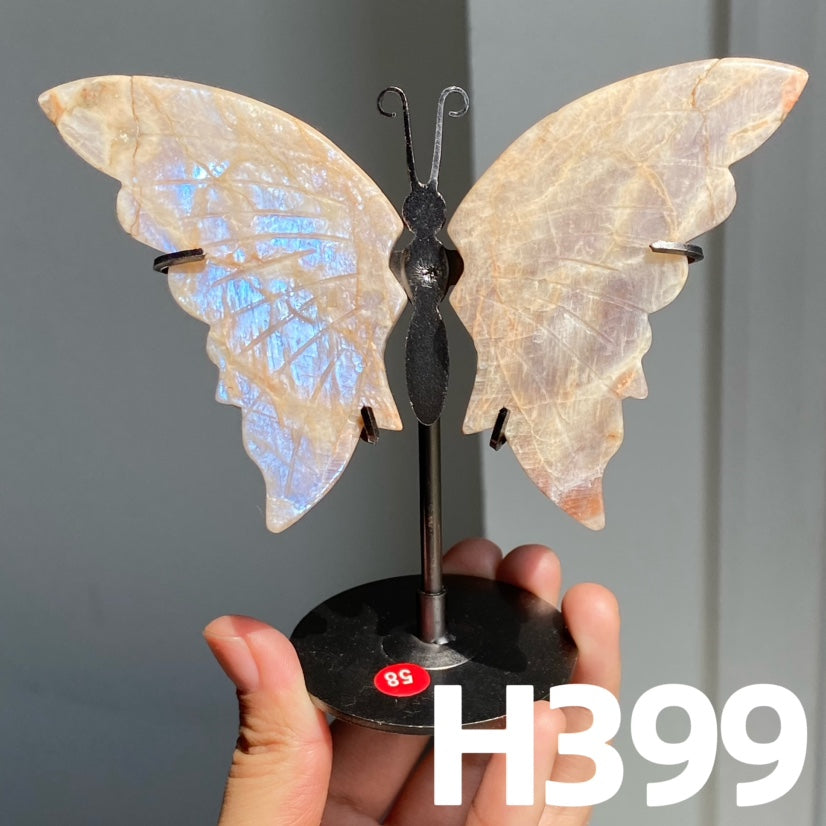 Small Butterfly Wings
