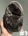 Septarian Egg & Freeform