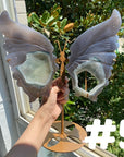 Druzy Agate Butterfly Wings