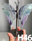Small Butterfly Wings