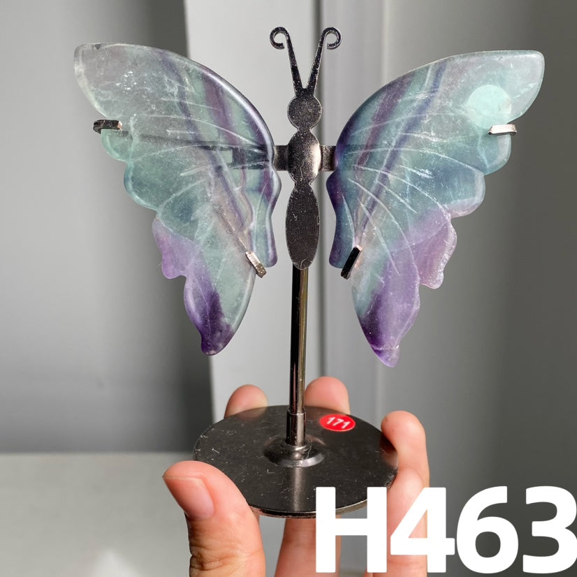 Small Butterfly Wings