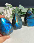 Labradorite Waterdrop freeform