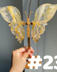 Golden Healer Butterflly (imperfect)