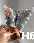 Small Butterfly Wings