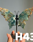 Small Butterfly Wings