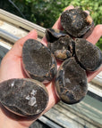 Septarian Egg