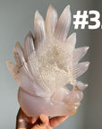 Druzy Agate 9 Tailed Fox