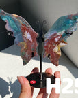 Small Butterfly Wings
