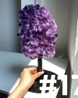 Big Amethyst Cluster