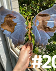 Druzy Agate Butterfly Wings