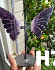 Small Butterfly Wings