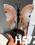 Small Butterfly Wings