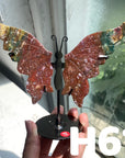 Small Butterfly Wings