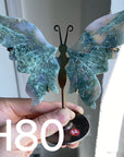 Small Butterfly Wings