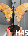 Small Butterfly Wings