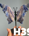 Small Butterfly Wings