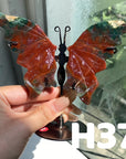 Small Butterfly Wings