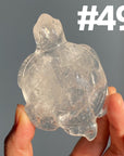 Crystal Turtle