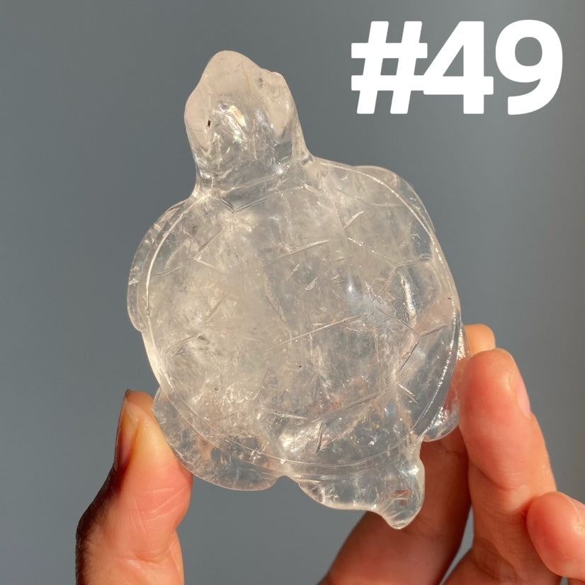 Crystal Turtle