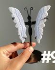 Blue Lace Agate Butterfly