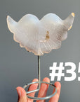 Druzy Agate Heart Wings