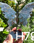 Small Butterfly Wings