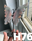 Small Butterfly Wings