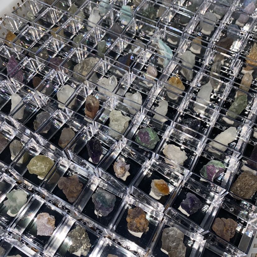 Specimen Display Box