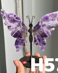 Small Butterfly Wings