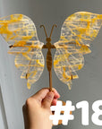 Golden Healer Butterflly (imperfect)