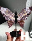 Small Butterfly Wings