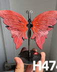 Small Butterfly Wings