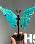 Small Butterfly Wings