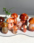 Carnelian Mushroom