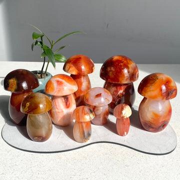 Carnelian Mushroom