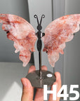 Small Butterfly Wings