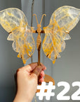 Golden Healer Butterflly (imperfect)