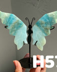 Small Butterfly Wings
