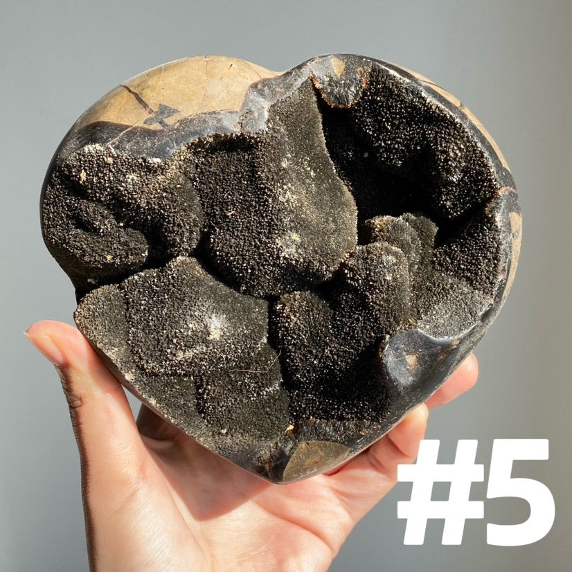 Septarian Egg & Freeform