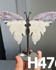 Small Butterfly Wings