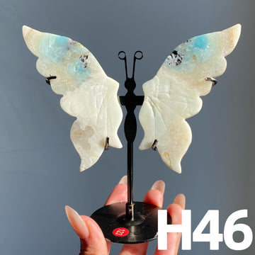 Small Butterfly Wings