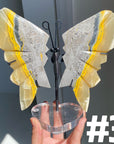 Bumble Bee Jasper Wings