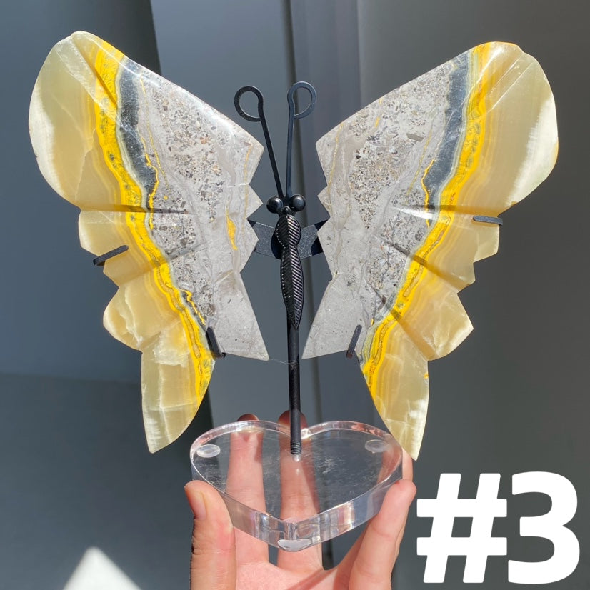 Bumble Bee Jasper Wings